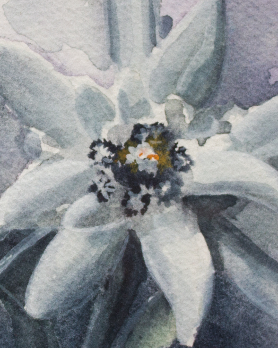 detailshots-detail-1-1790264760942.png