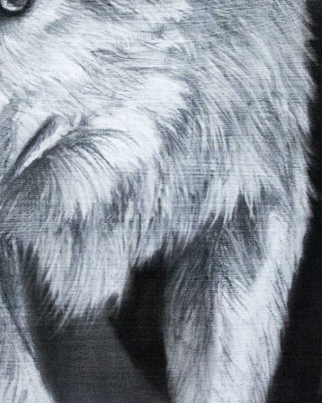 detailshots-detail-3-1790264313526.png