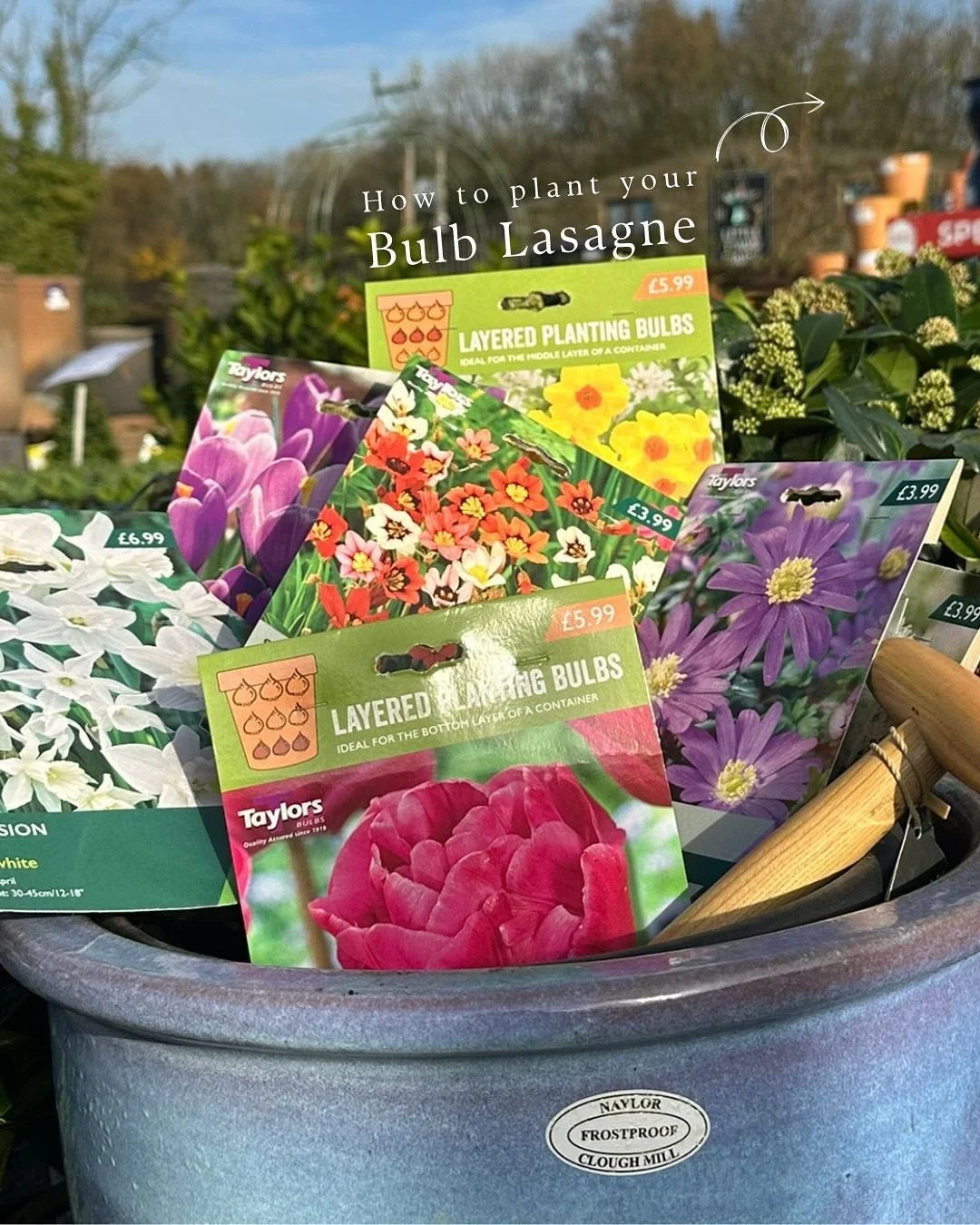 Last chance: 25% off Spring bulbs!* 🌷

November is the month to plant your tulip bulbs ready for next Spring. Why not make yourself a bulb lasagne? For further details, head over to our &lsquo;planting&rsquo; page on the website!

*25% off marked pr