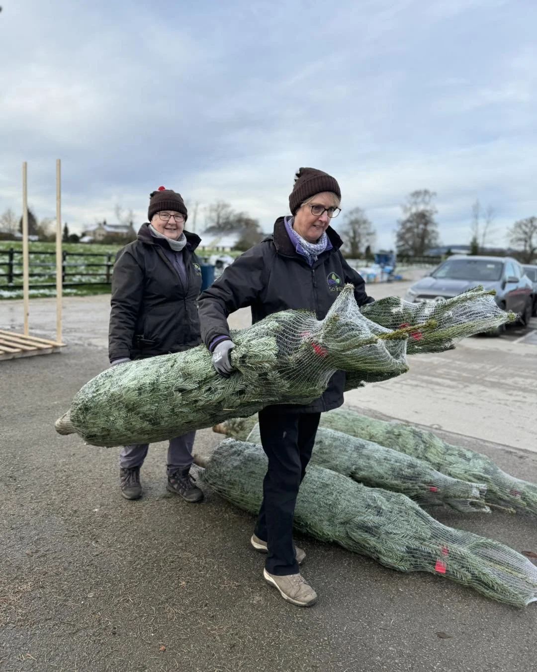 Christmas is officially here! A bit of girl power today, our first batch of trees have arrived and after unloading we all celebrated with welcome refreshments from Little Town Farm Shop , now to grade and price!, trees go on sale Saturday 23rd Novemb