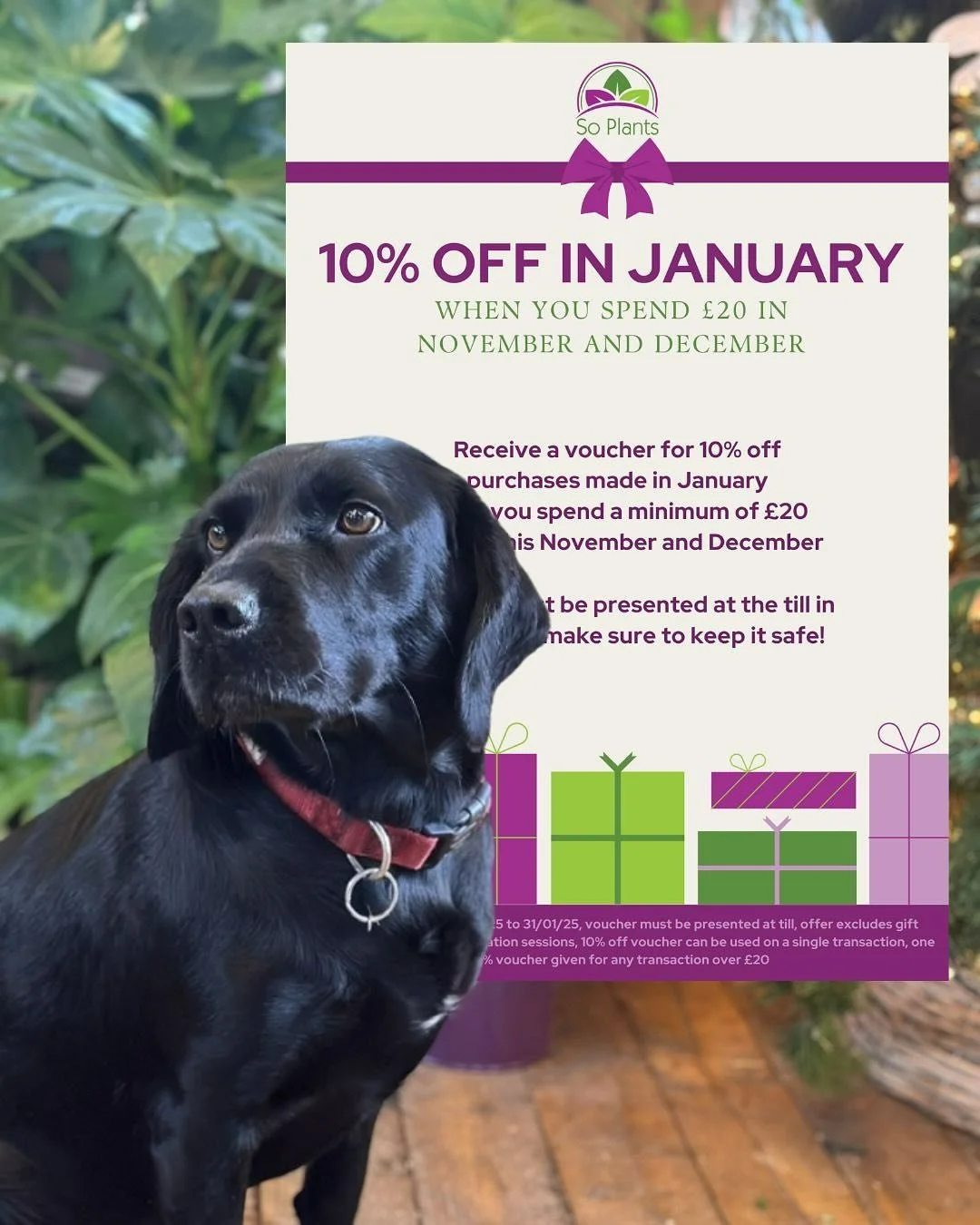Our gift to you! 🎁 Get 10% off in January when you spend &pound;20 with us in November and December*

Receive a voucher for 10% off purchases made in January when you spend a minimum of &pound;20 with us this November and December.

You will need to