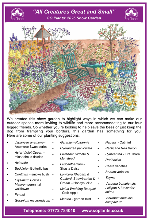 chipping show guide scrn 1.png
