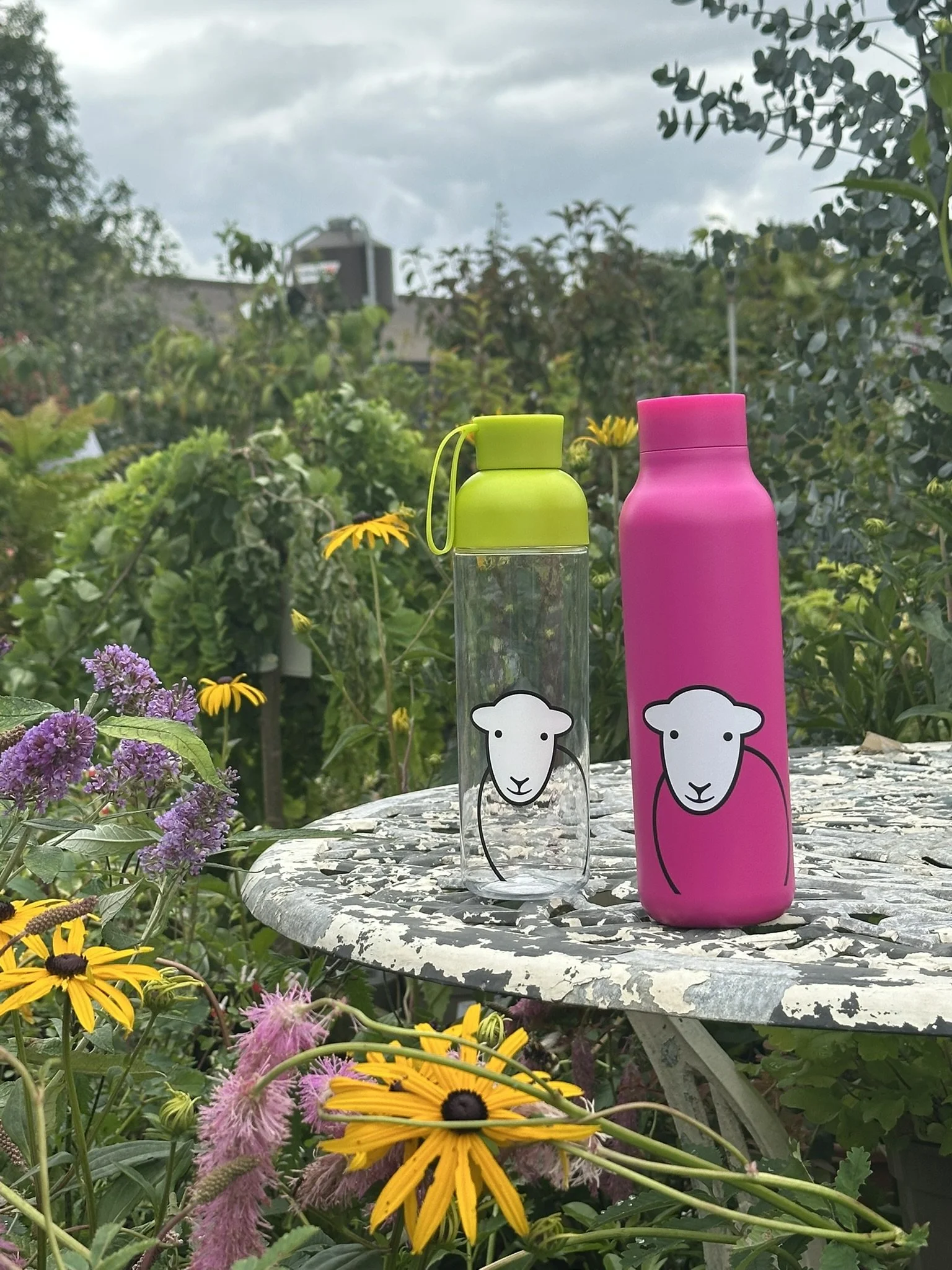 herdy product photos (5).JPEG