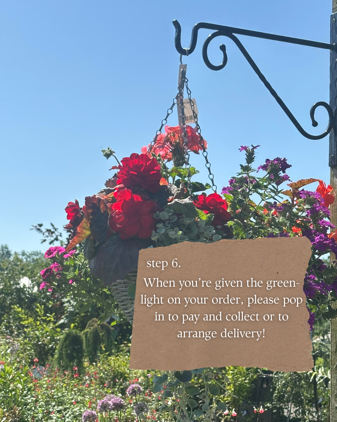 "Step six. When you're given the green-light on your order, please pop in to pay and collect or to arrange delivery."