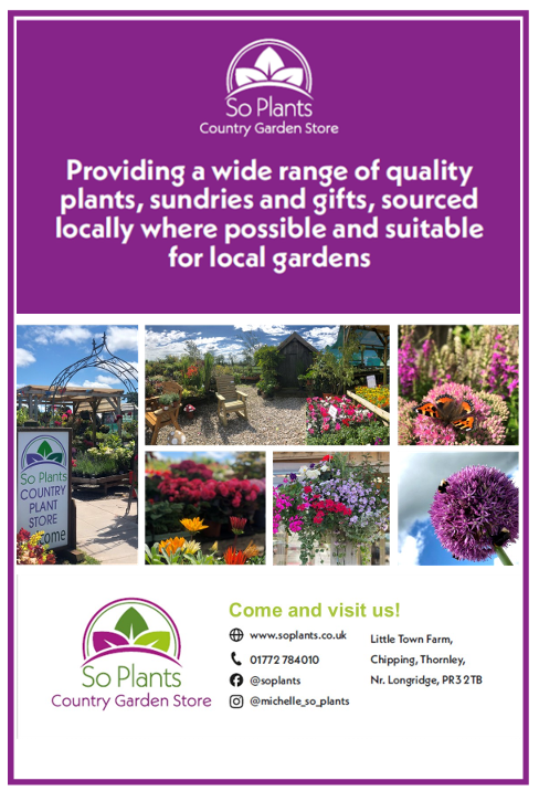 chipping show guide scrn 4.png