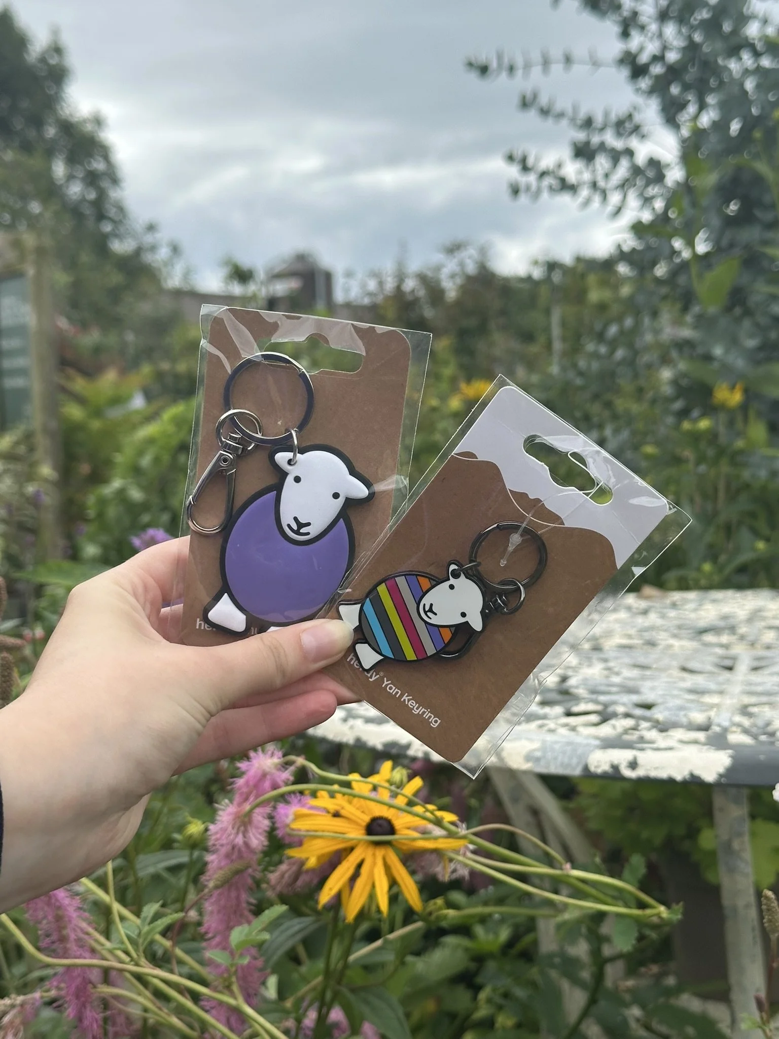 herdy product photos (4).JPEG