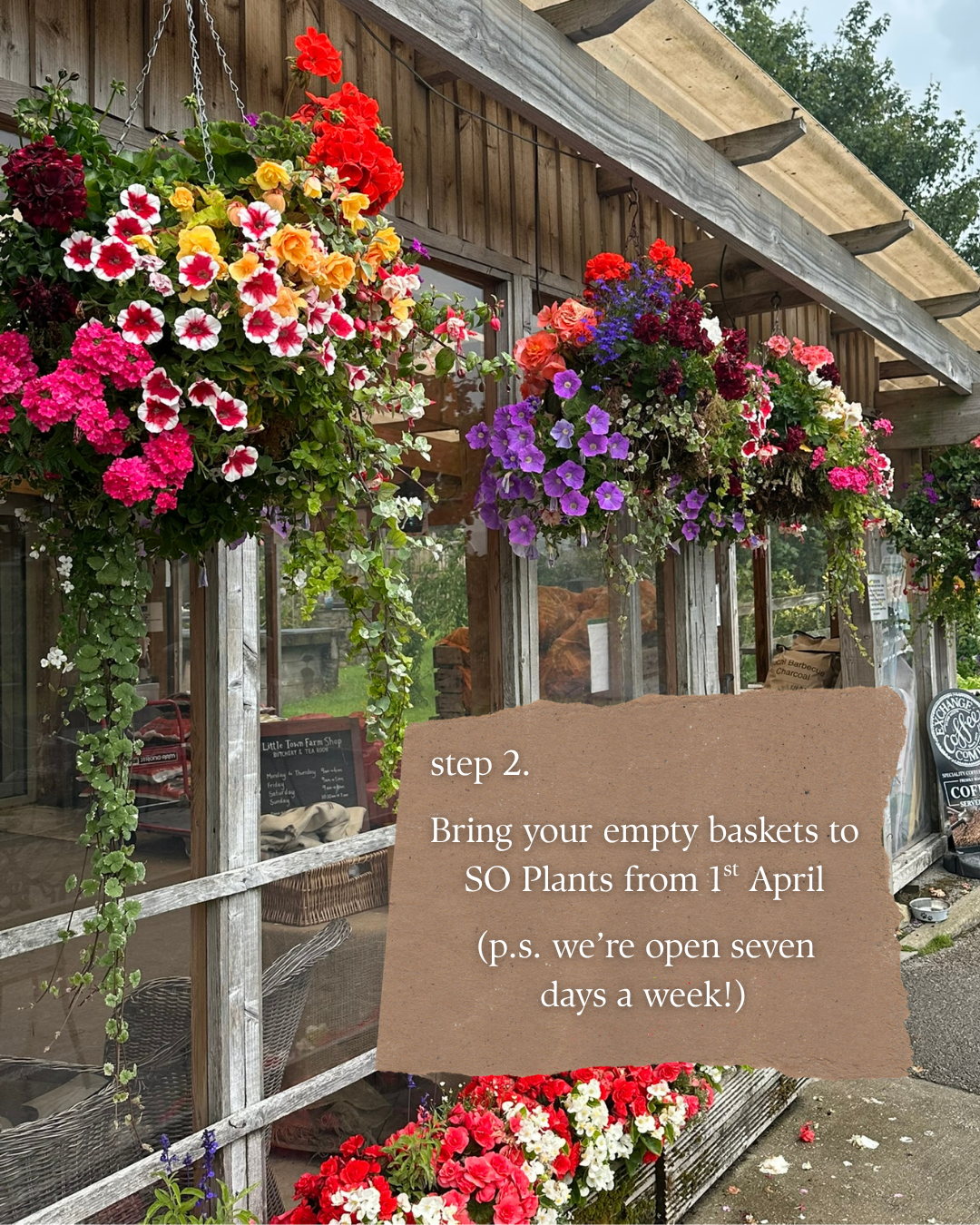 "Step two. Bring your empty baskets to SO Plants from 1st April. P.s. we're open seven days a week."