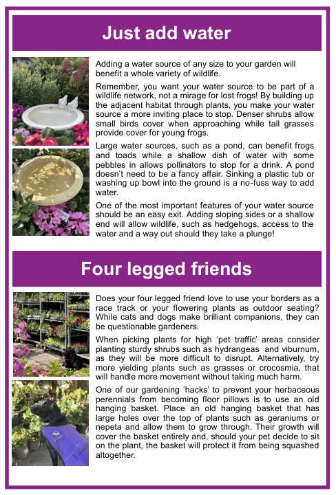chipping show guide scrn 3.png
