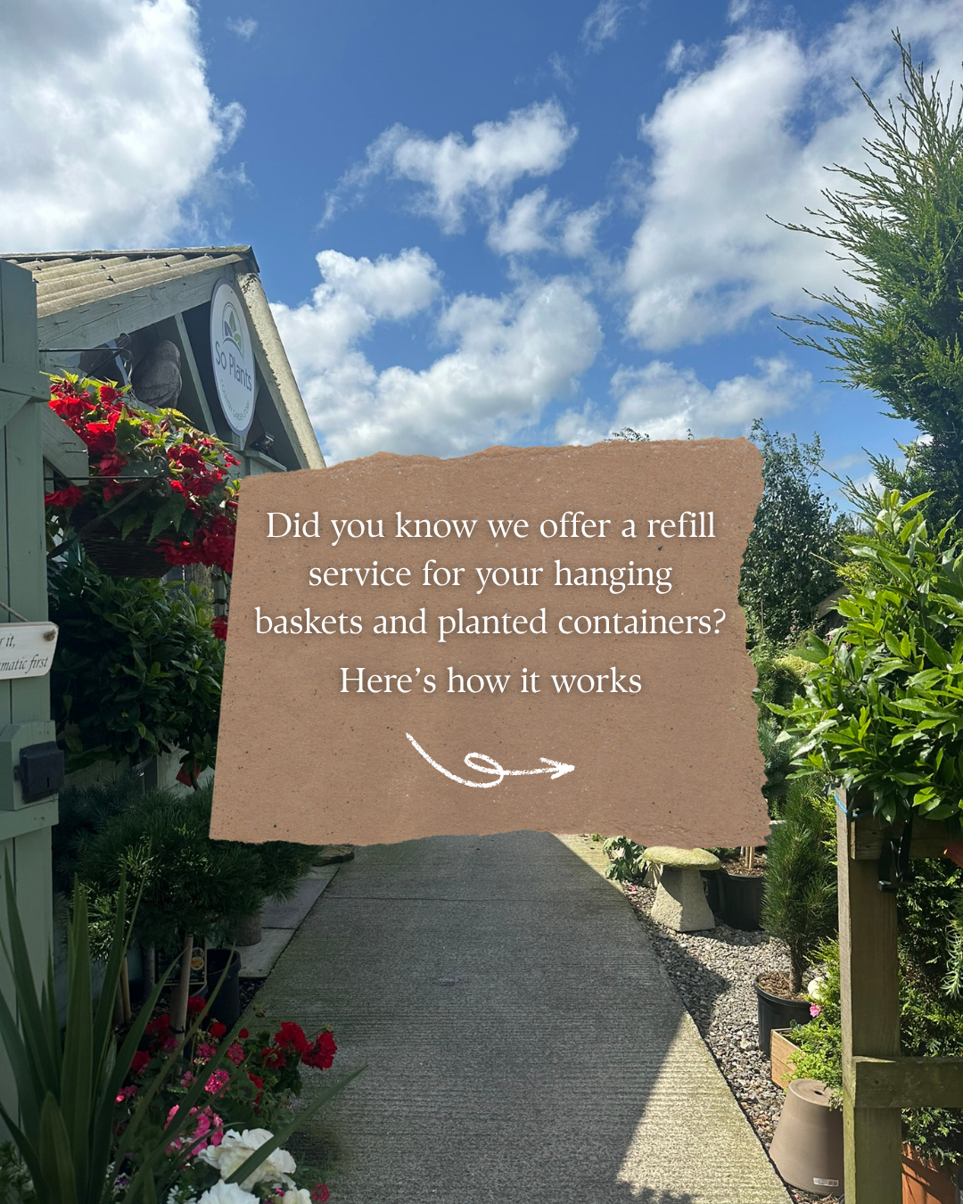 "Did you know we offer a refill service for your hanging baskets and planted containers? Here's how it works"