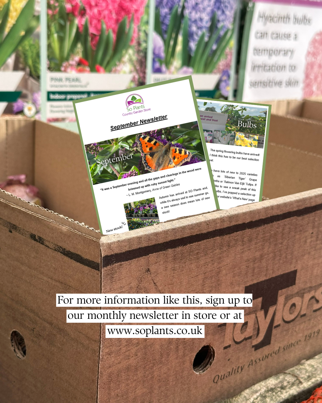 For more information like this, sign up to our monthly newsletter in store or on our 'contact us' page