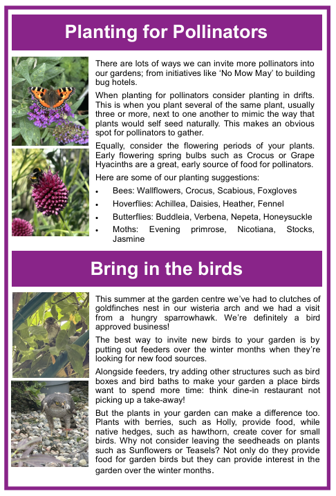 chipping show guide scrn 2.png