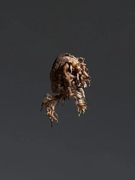 jmartin-3.jpg