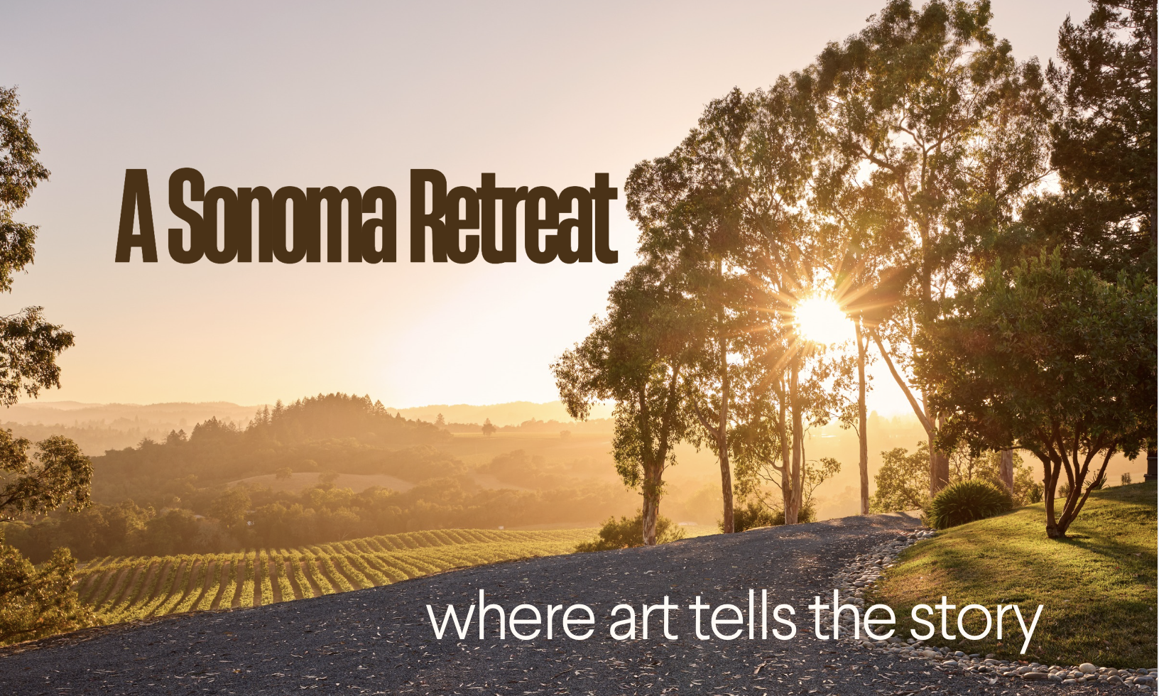 Step Inside a Sonoma Retreat Where Art Tells the Story