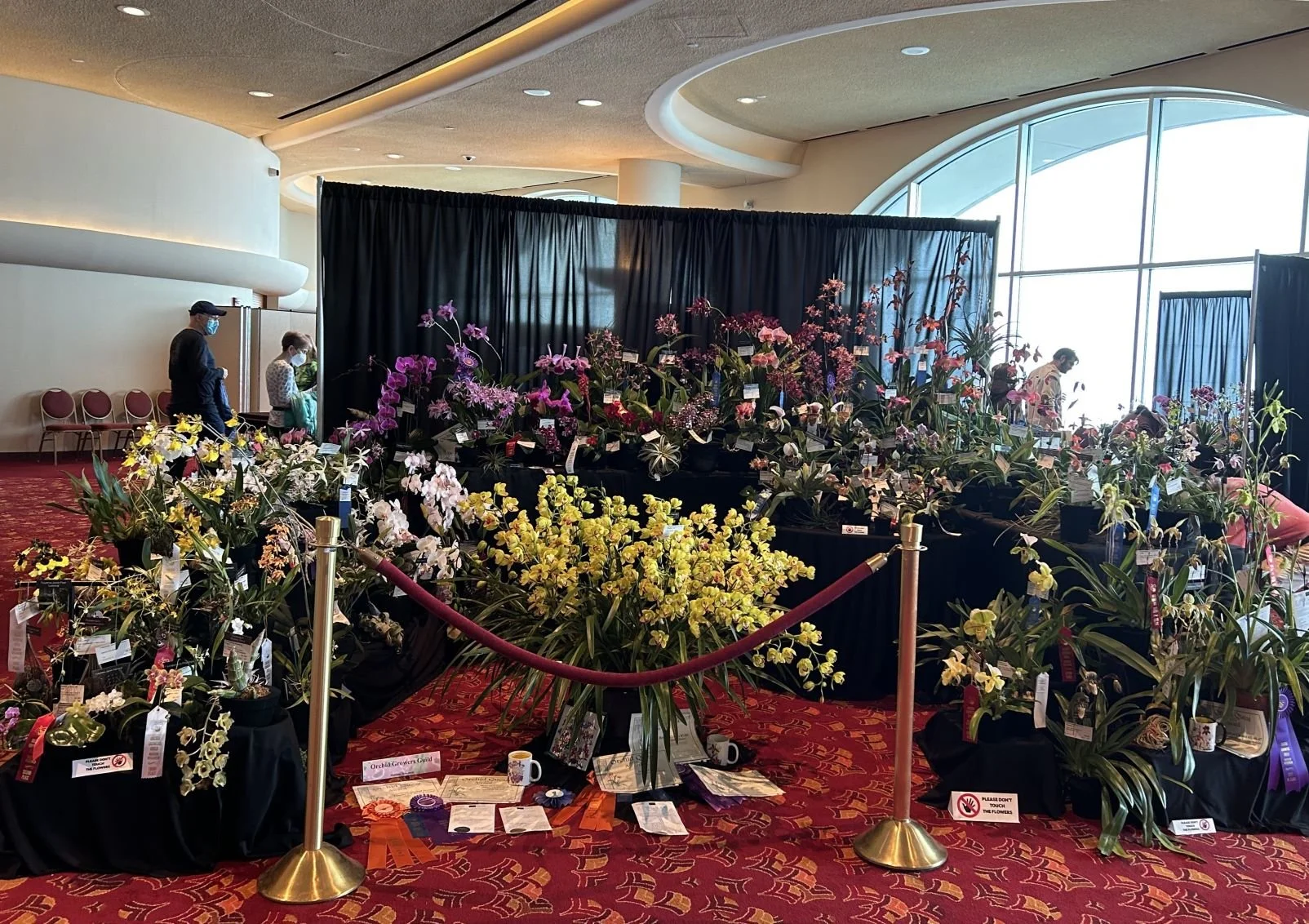 Orchid Growers Guild