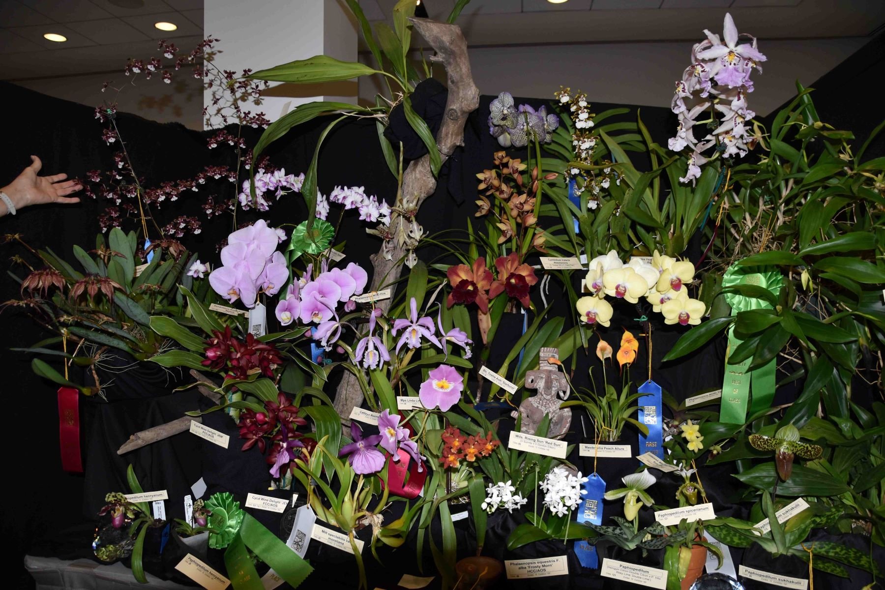 Vendor/Exhibitor Registration — Illinois Orchid Society
