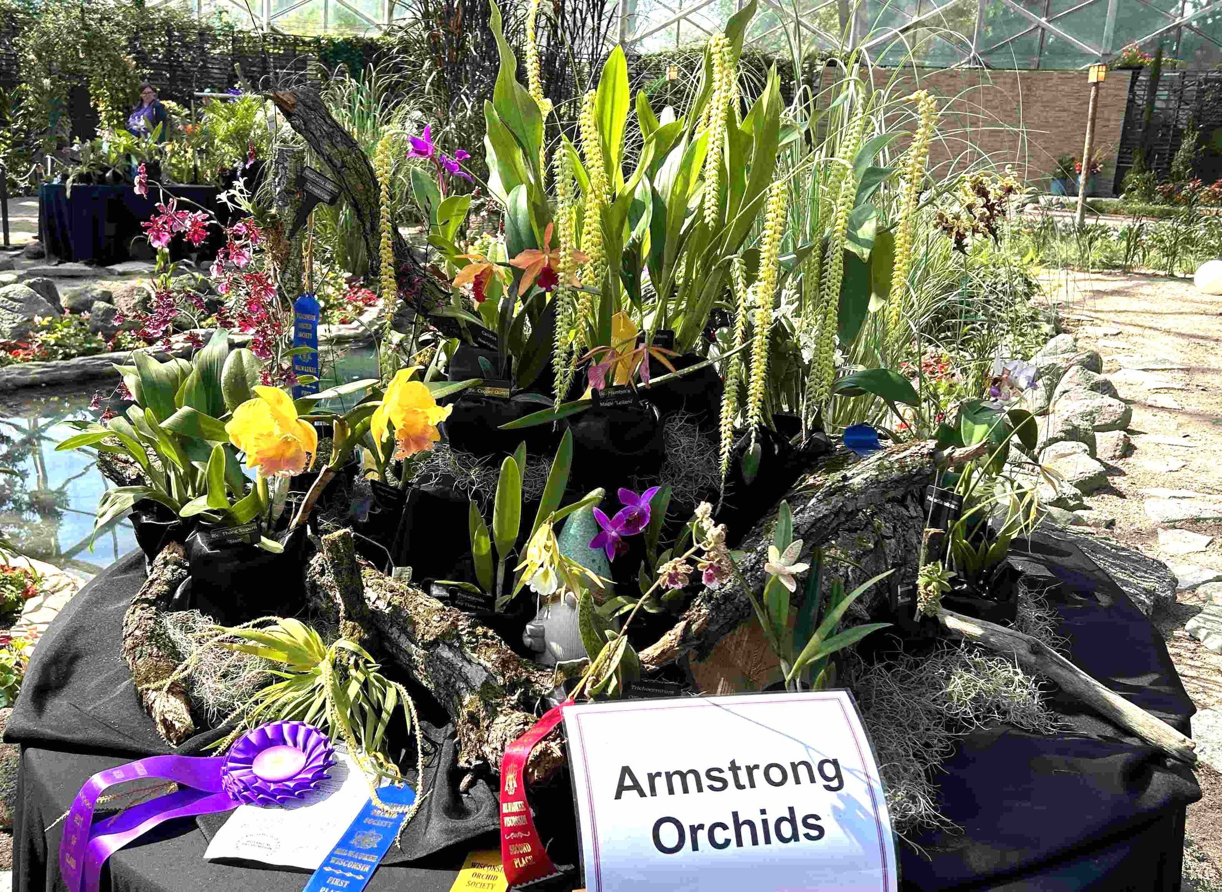 Armstrong Orchids