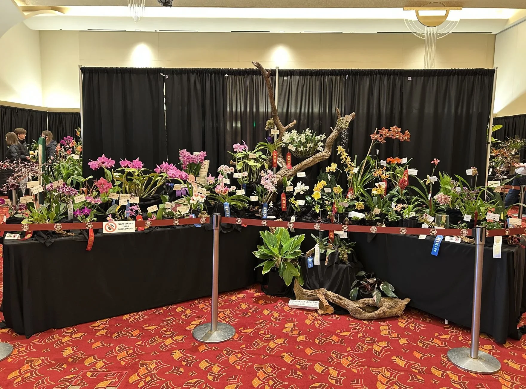 Orchid Growers Guild