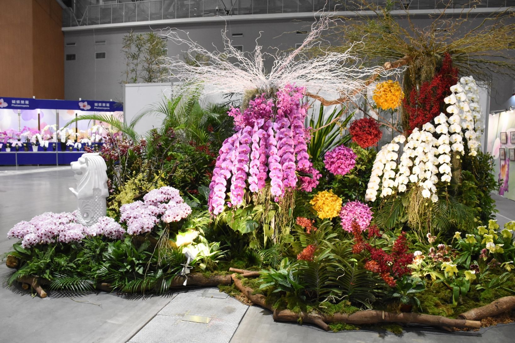 World Orchid Conference Display
