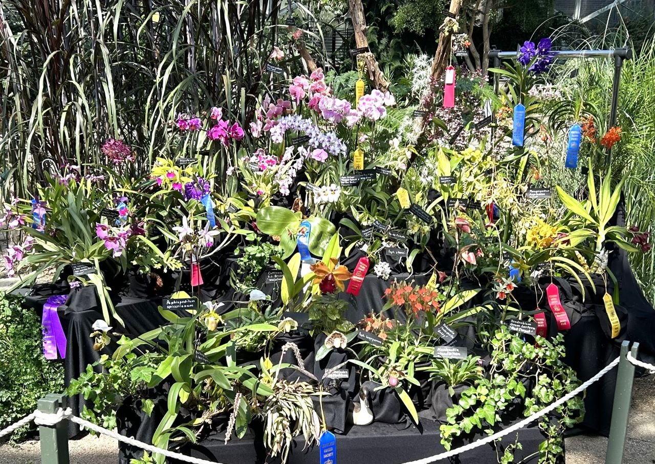 Illinois Orchid Society