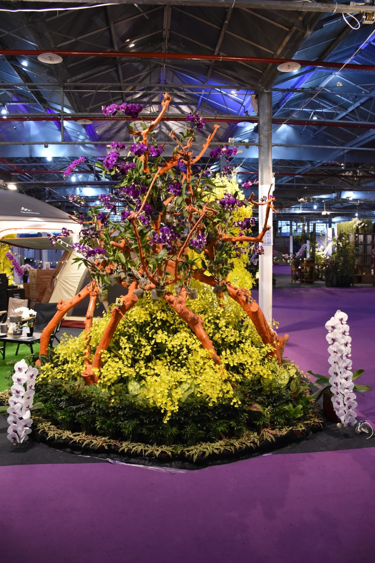 Taiwan International Orchid Show 2024