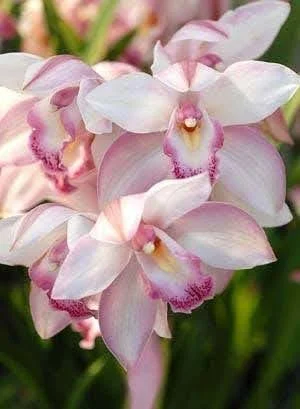 Monthly Checklist for March and April