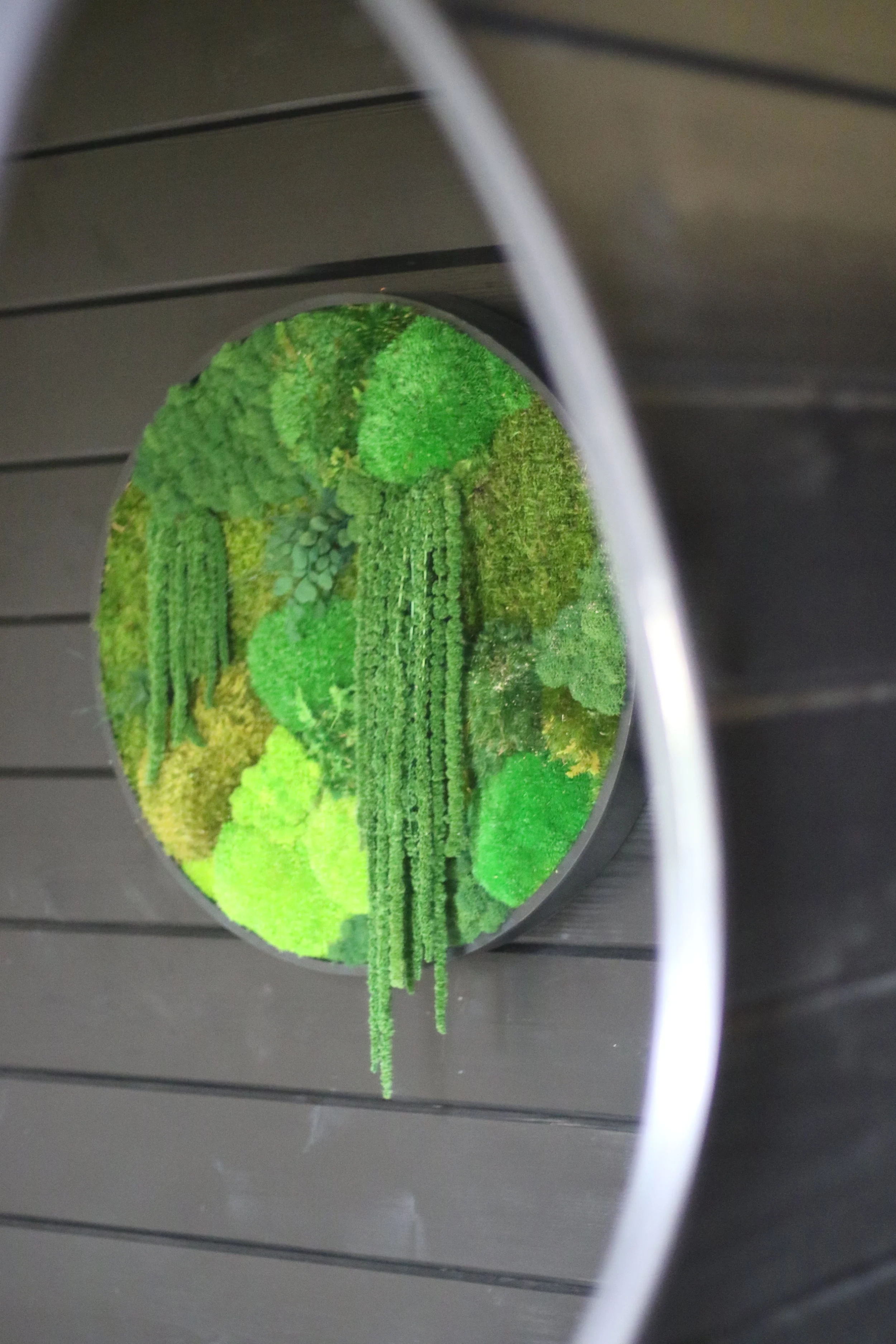Round green moss art piece mounted on dark wooden wall.
