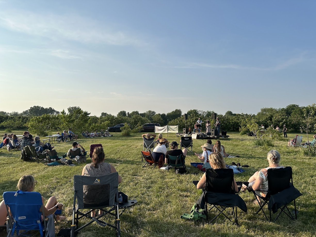 concert2.jpg