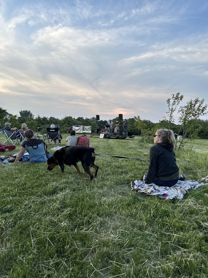 concert4.jpg