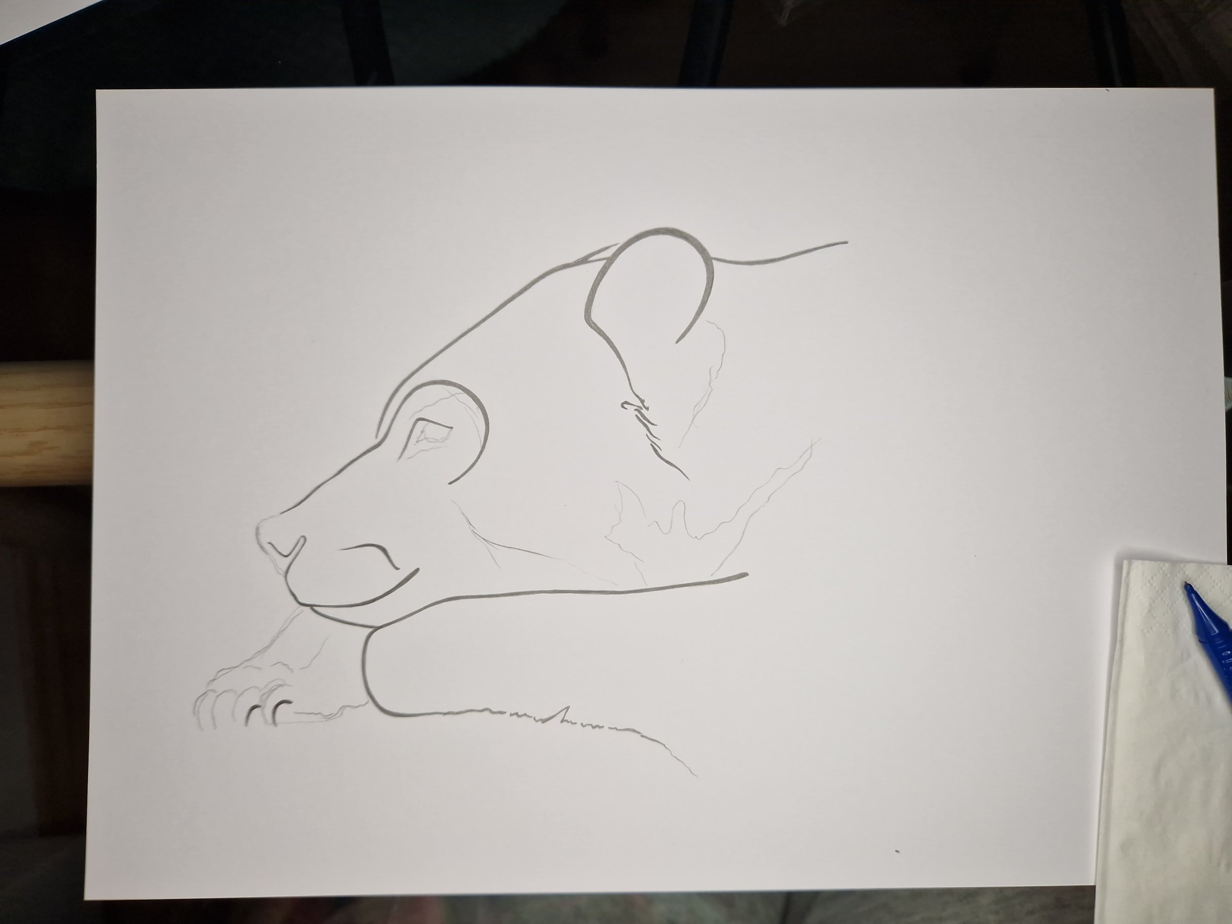 20250517_212240.jpg