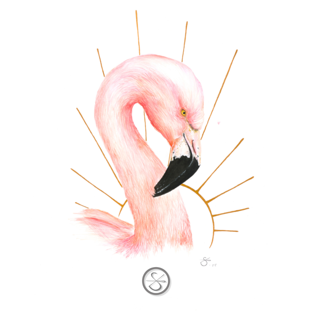 Flamingo sun