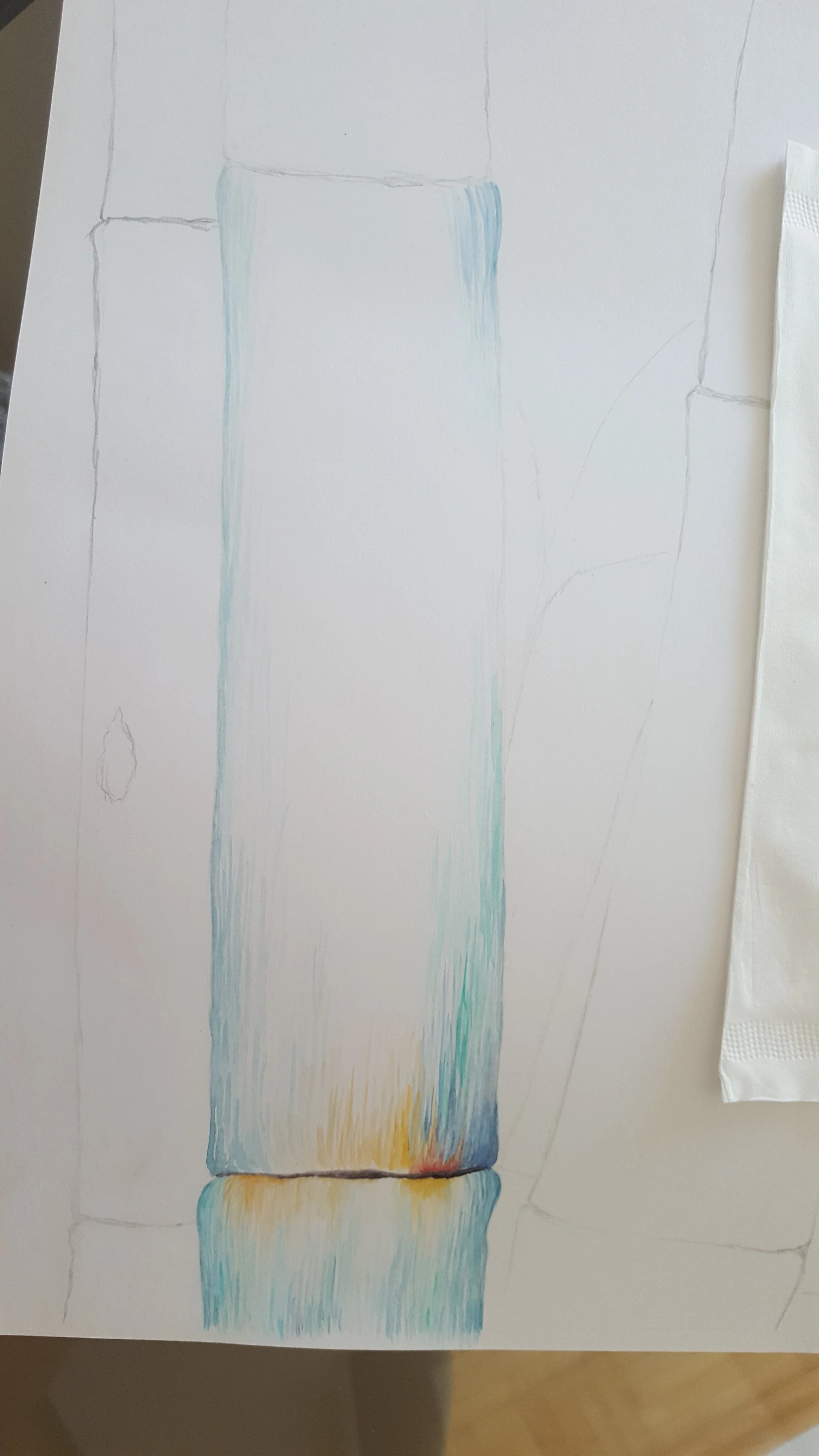20170626_100102.jpg