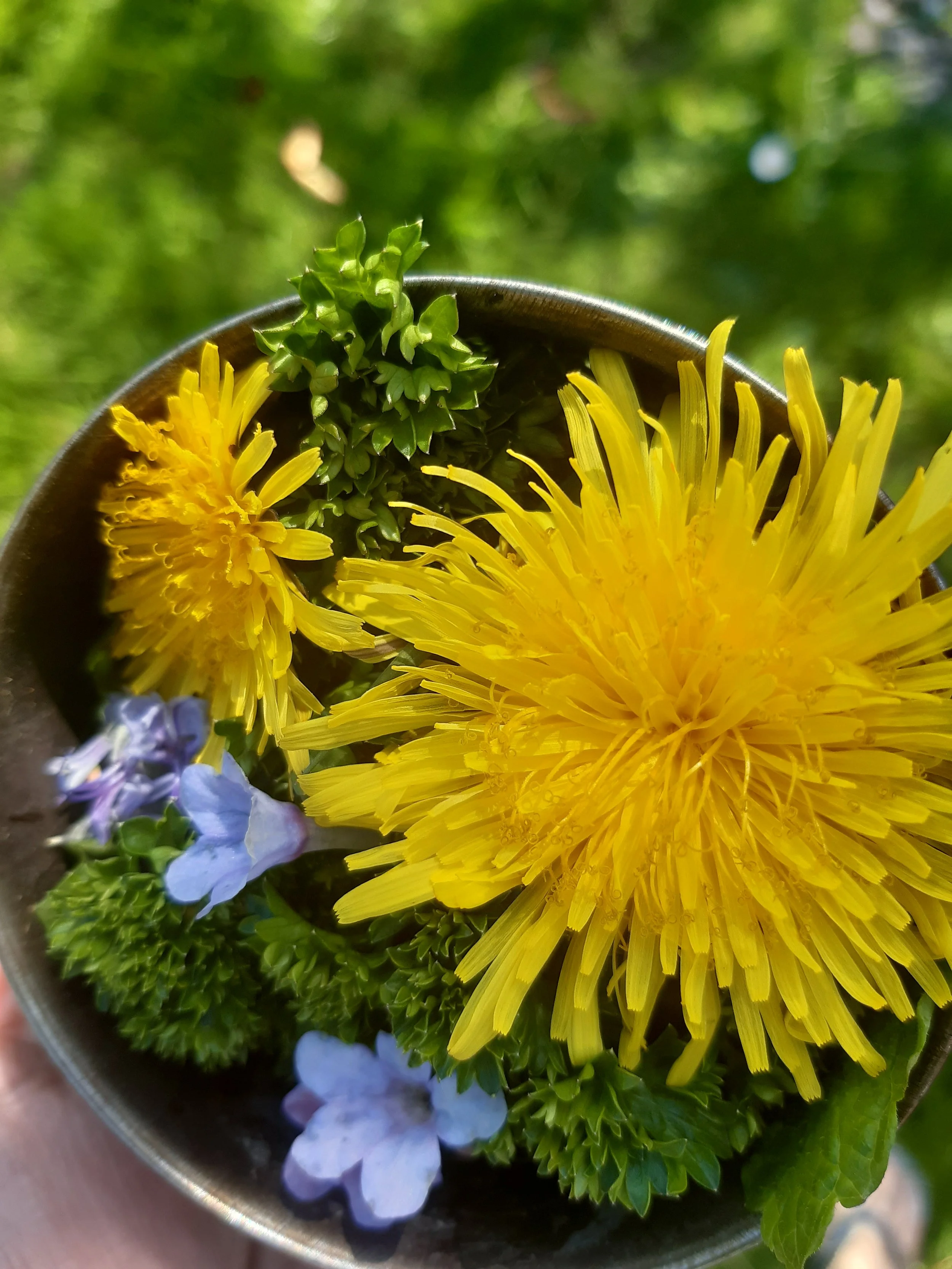 Sunday Morning Relax