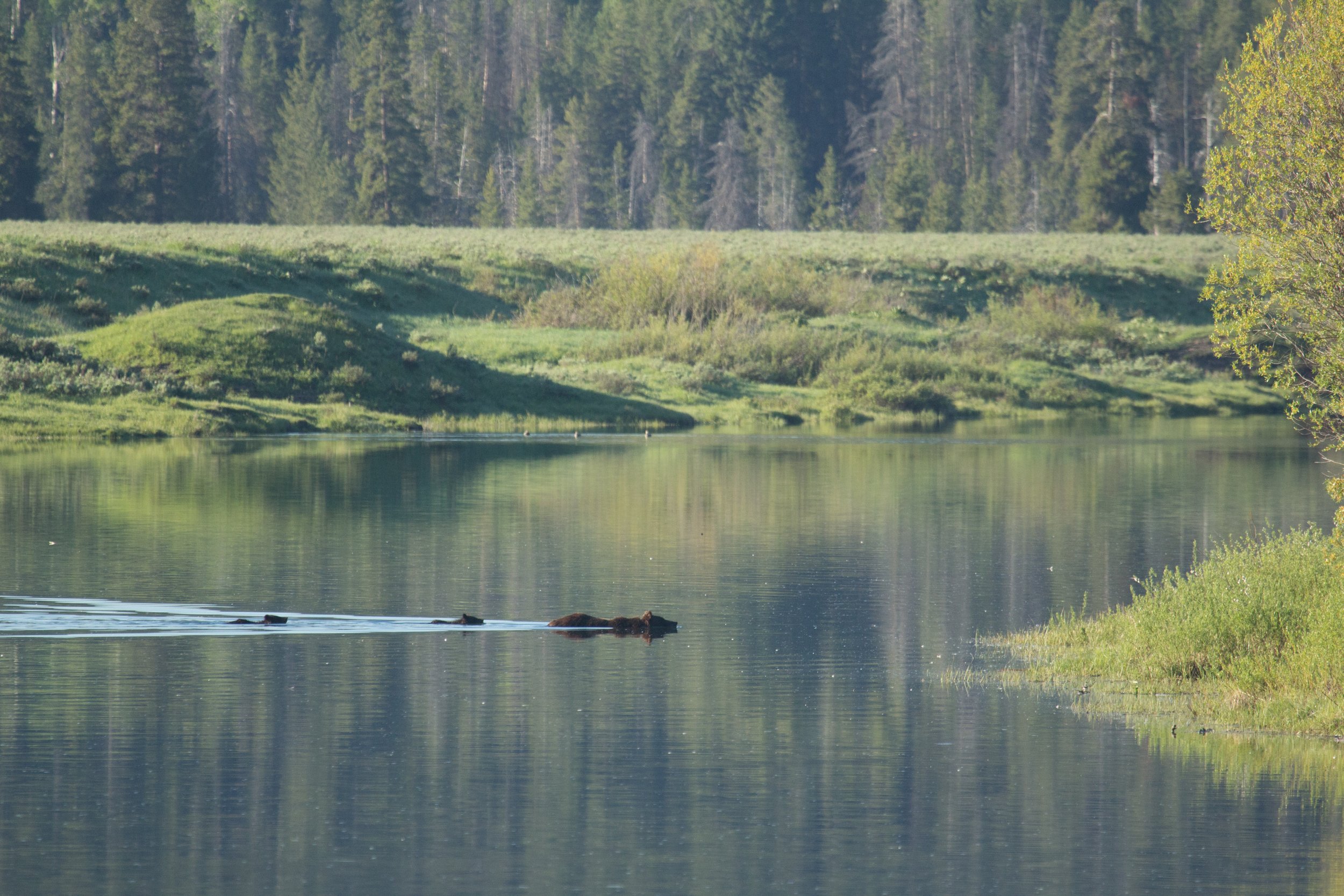 _MG_2603.jpg
