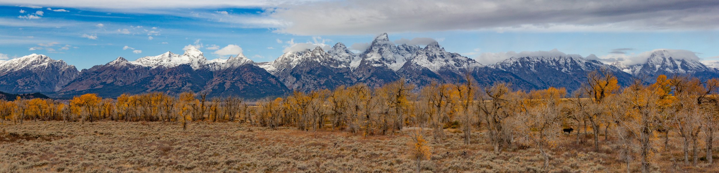 _MG_7412-Pano.jpg