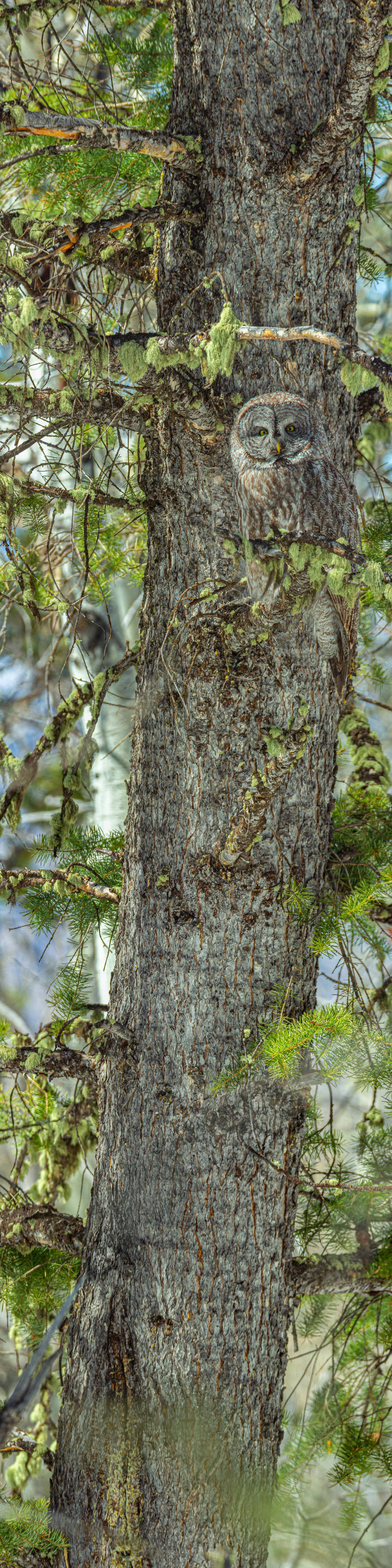 _MG_7536-Pano-2-Edit.jpg