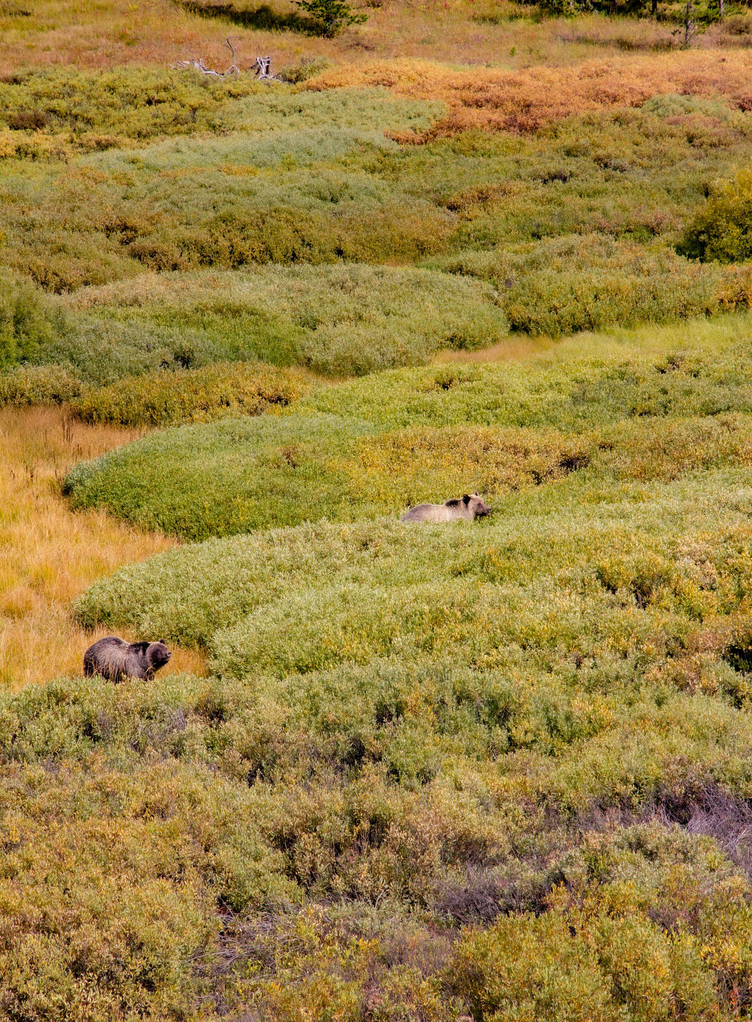 _MG_3534.jpg