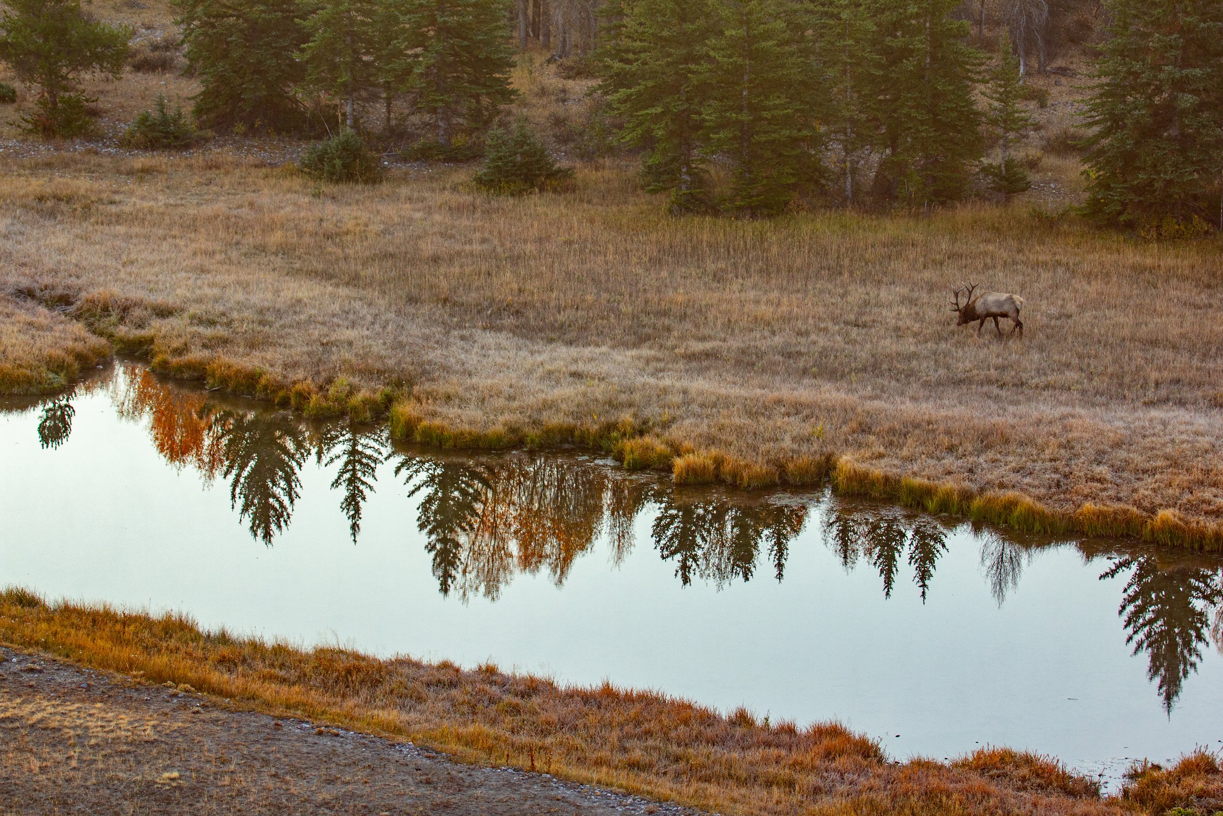 _MG_3536.jpg