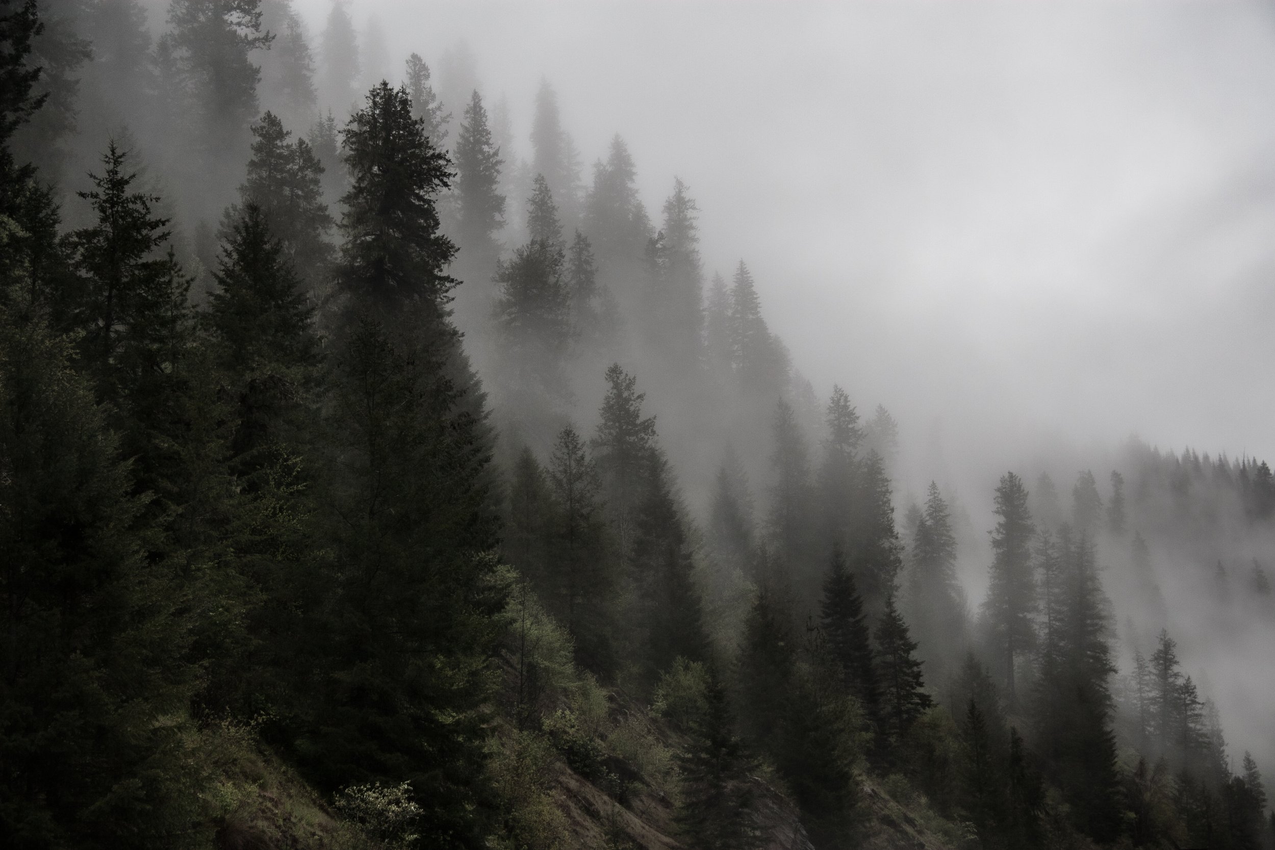 _MG_8471.jpg