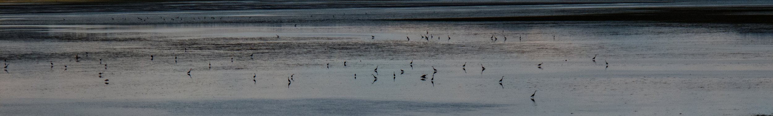 IMG_3021.jpg