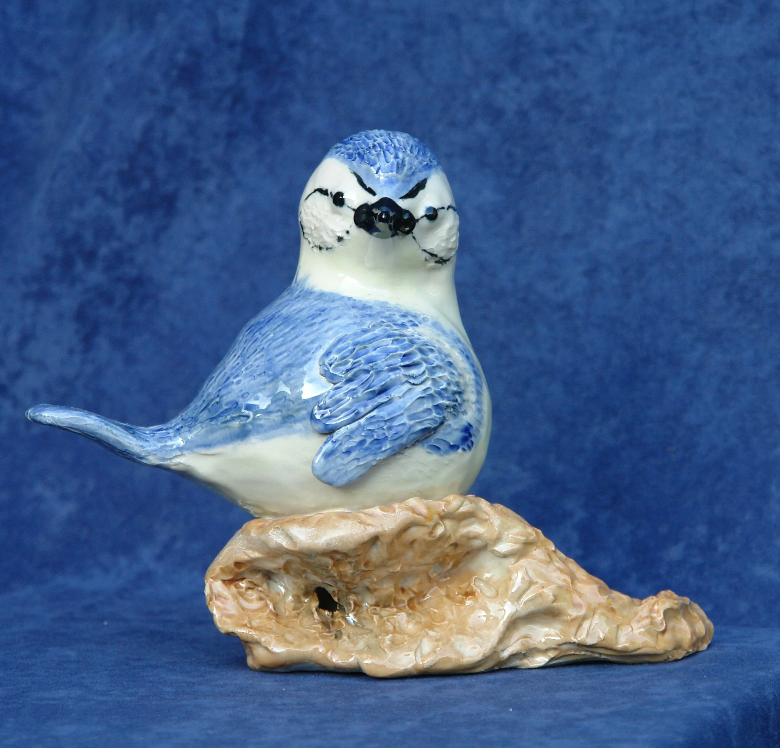 Tom en Els Bleijenberg