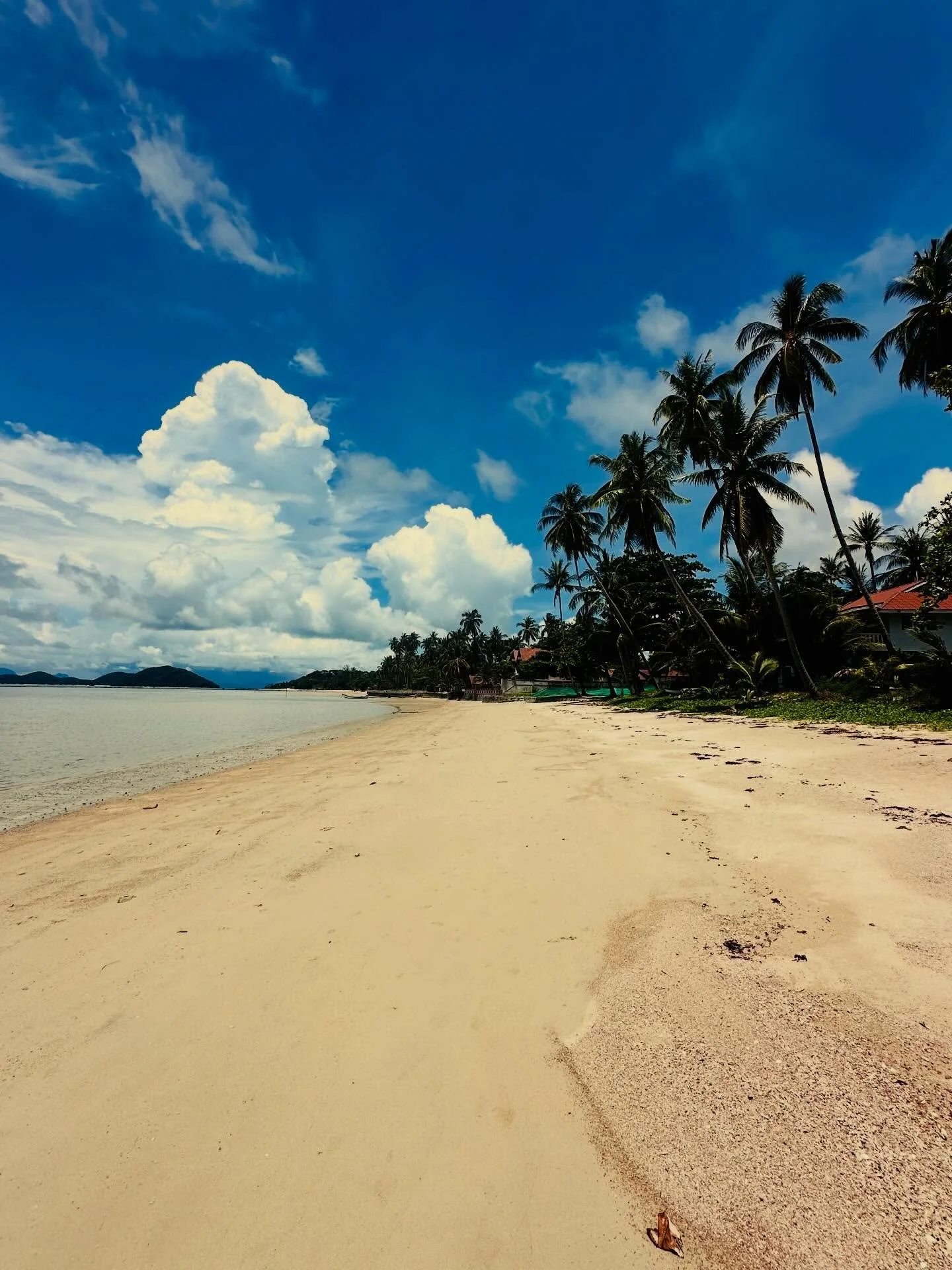 ✨ Last few rooms available ✨

Escape to paradise and reconnect with your mind, body &amp; soul in beautiful Koh Samui 🌴

📅 28th February 2026 | 7 nights

Whether you&rsquo;re treating yourself after the festive season or gifting someone special the