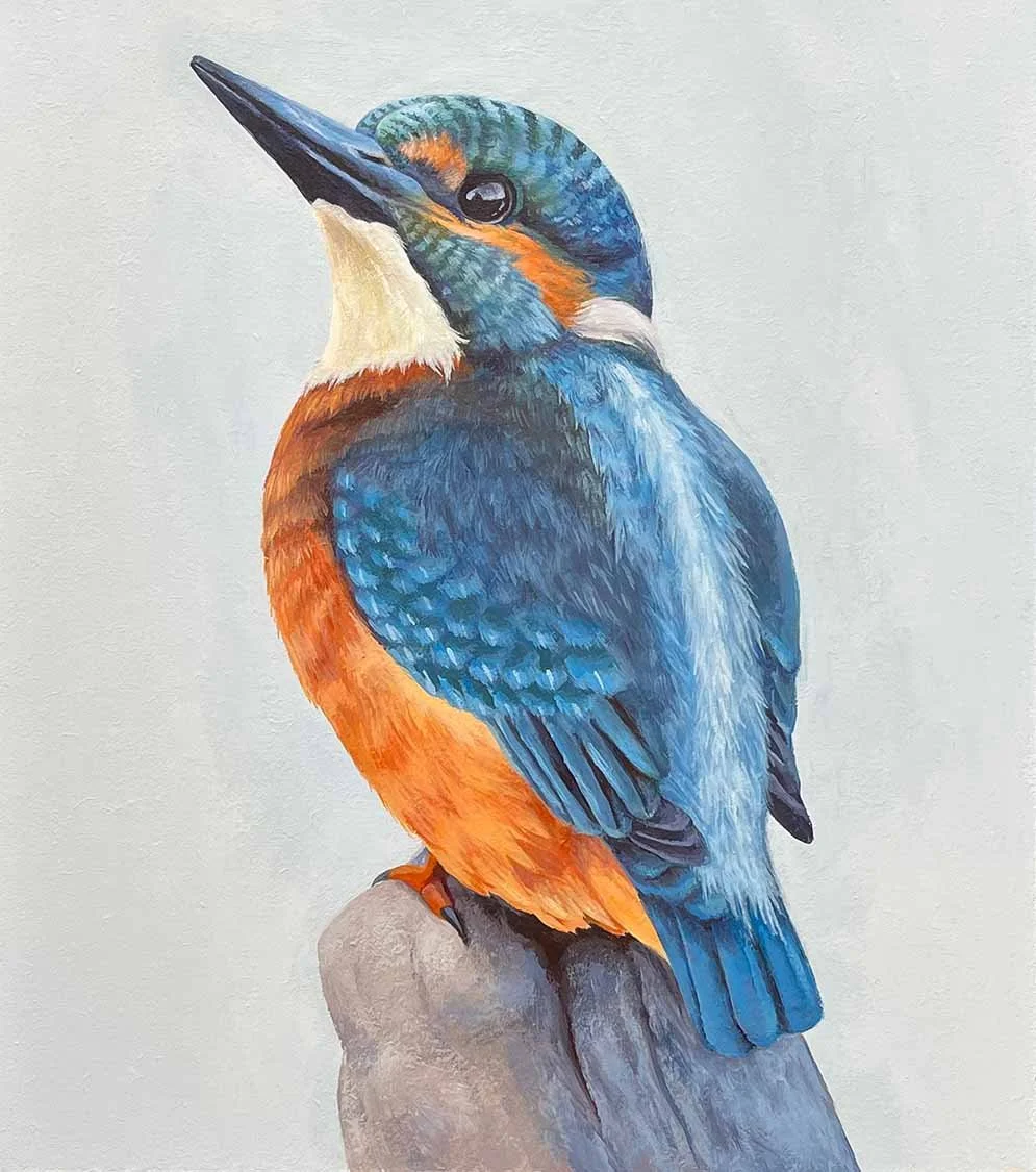 Acrylic Kingfisher painting on masonite by Shannon White