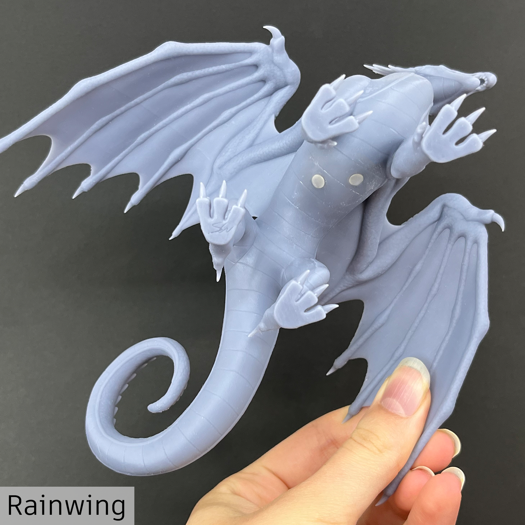 Unpainted-Rainwing-Medium-Bottom.png