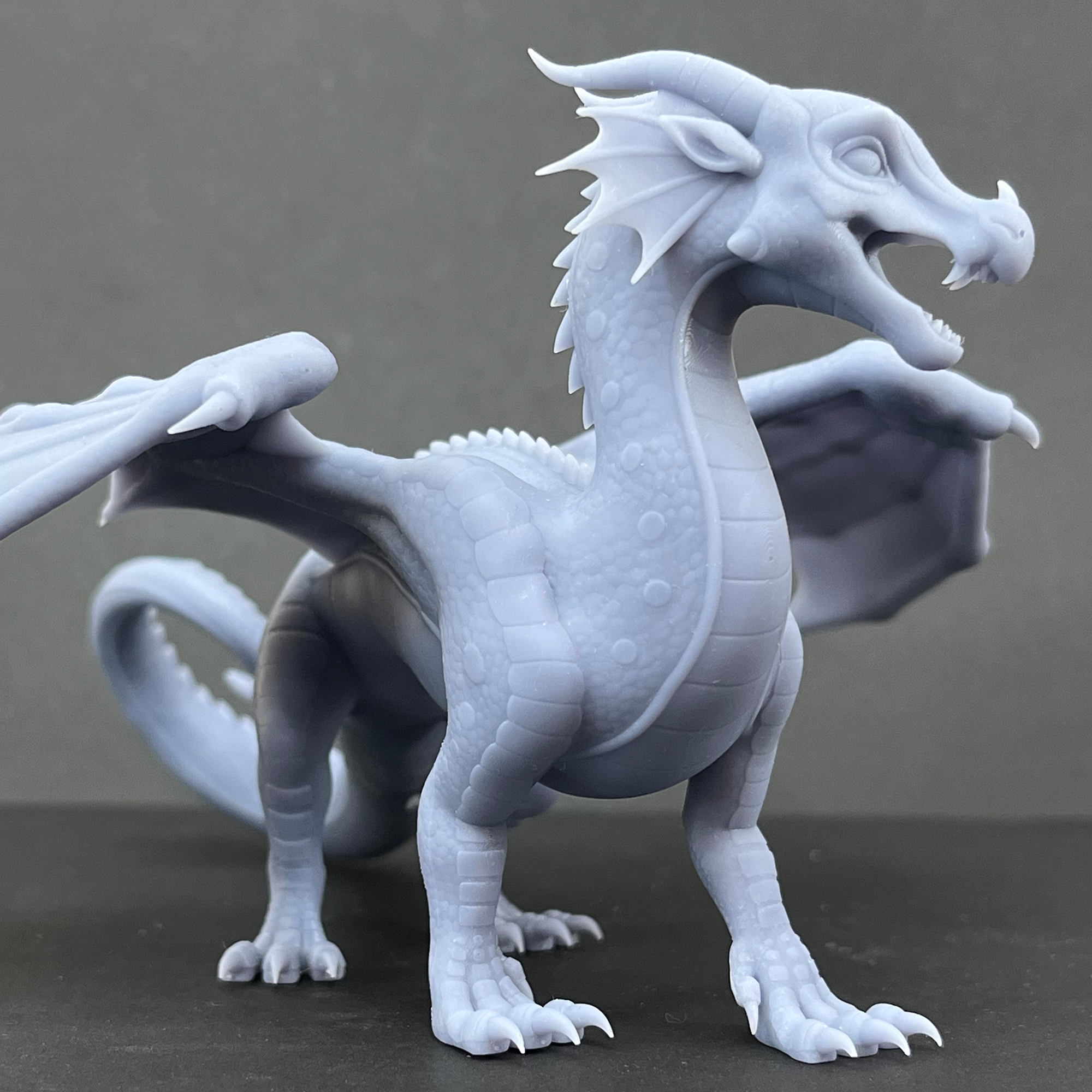 Unpainted-Rainwing-Medium-Main.png