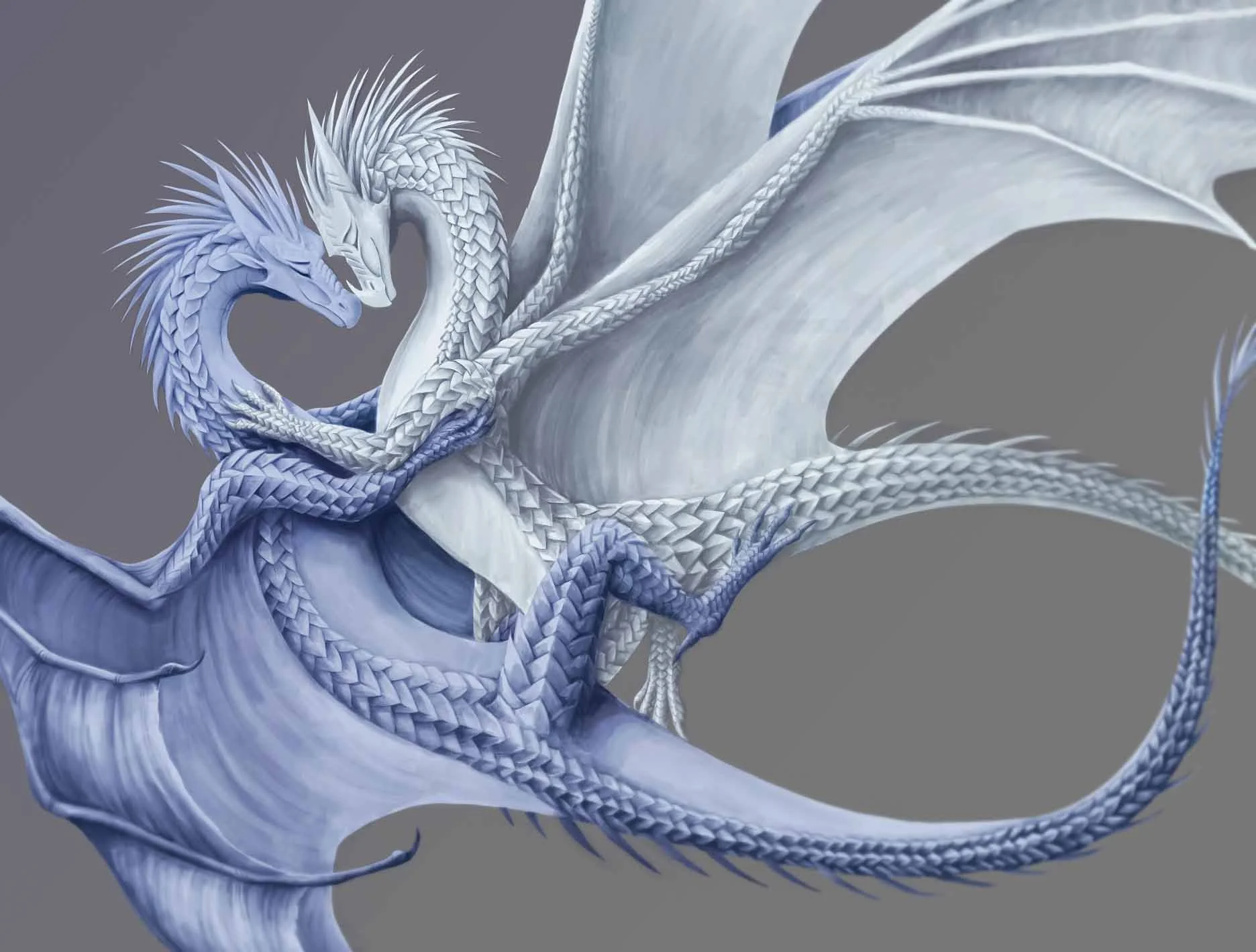 Digital illustration of two intertwined dragons, one white and the other blue, with detailed scales, horns, and wings, set against a grey background by Shannon White