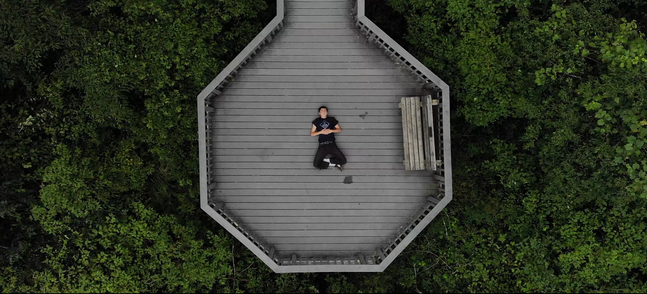 birdsanctuary_web_Still.png