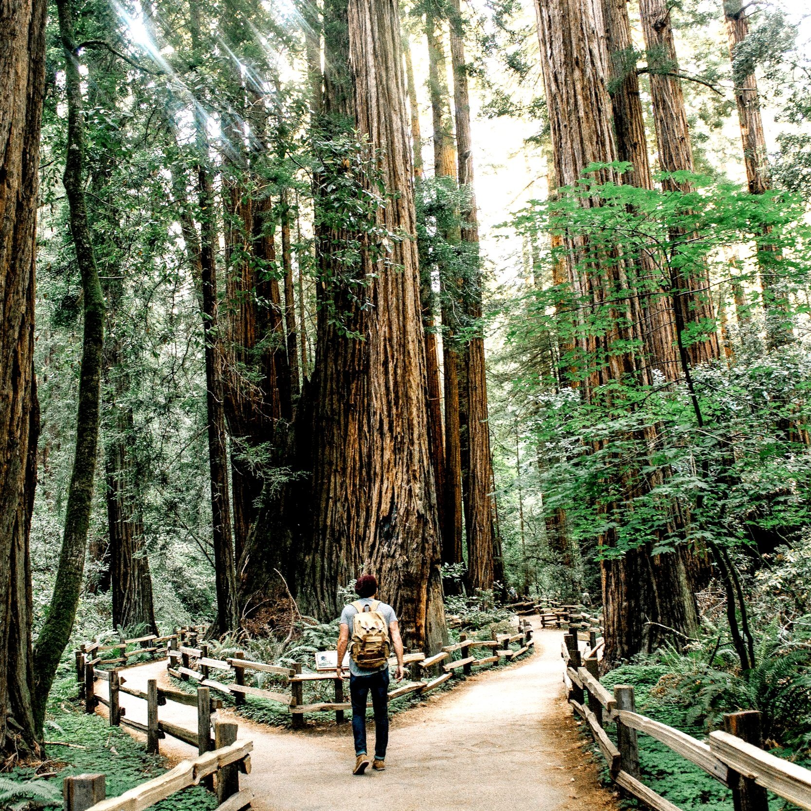 Crossroads Meditation: Choosing the Right Path for You