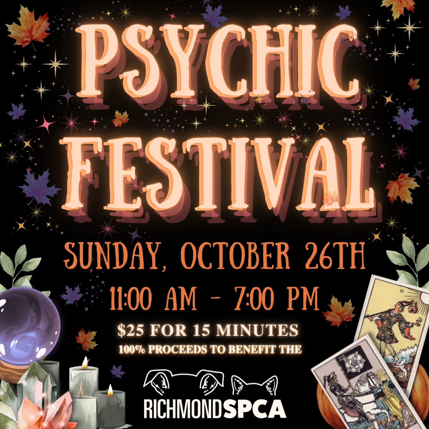 Enjoy sessions with psychics, astrologers, tarot readers, and sound &amp; energy healers. Experience past life regression, reiki, massage, and so much more! This event is only possible through loyal patron and volunteer support of the Baby Girl Proje