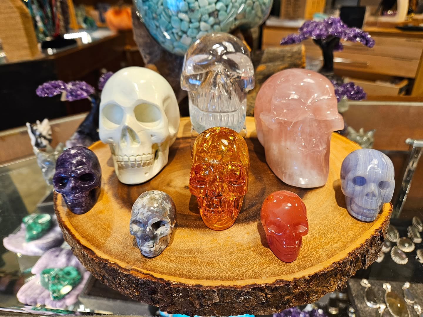 💀‼️20% OFF Crystal Skulls for the month of October‼️💀
.
.
.
.
.
#aquarian
#theaquarian #aquarianbookshop #crystalshop #crystals #crystalsale #crystalskull #crystalskulls #dragonskull #skullsale #richmond #richmondva #rva #rvacrystalshop #octobersal