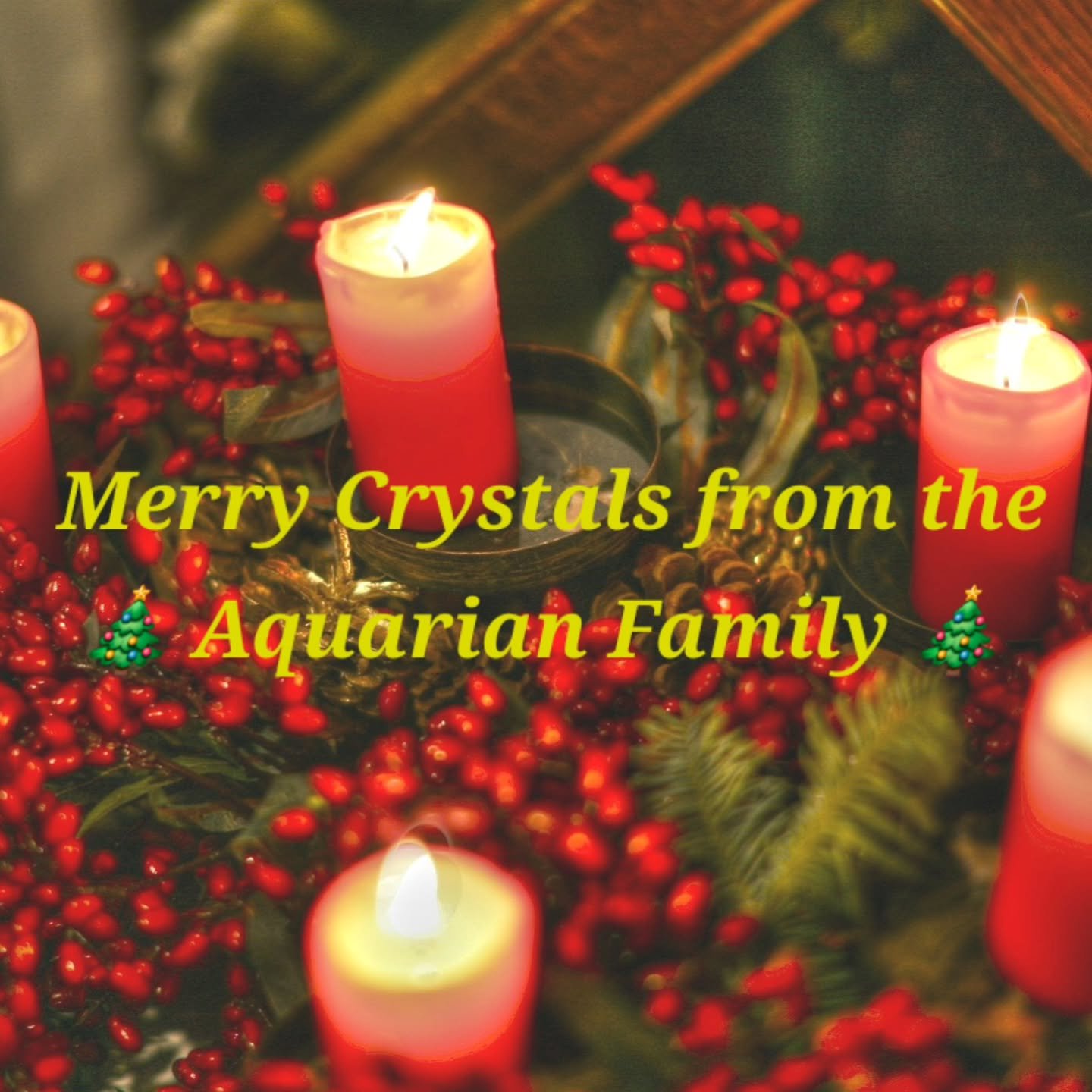 Wishing everyone a Merry Christmas! 🎄🎅